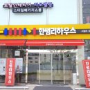 별꼴버섯