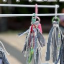 일죽초교병설유치원 이미지