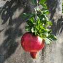 난동회관 이미지