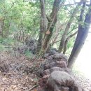 신례1리 이미지