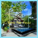 푸시킹 | [공지] 몰디브 신혼여행 숙소 시루펜푸시 선택 이유 선셋 디럭스 비치빌라 후기