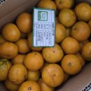 흙과 나무 이미지