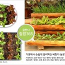 세준농장 이미지