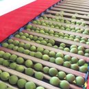 덕풍3농장 이미지