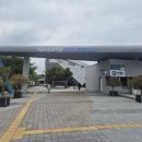 새싹어린이집 | 기장 국립부산과학관 새싹누리관 솔직후기 (부산 실내 아기랑 가볼만한 곳)