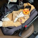 벨리타 | 벨리타앤보이즈 우주복 베이비 사이즈 2xs 후기