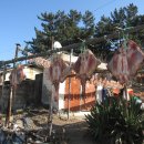 웃음잔치 이미지