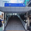 냉천음식지구 | 직장인들 사이에서 입소문난 이유, 꽃돼지식당엔 있다
