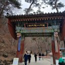 평화의숨결 | [양평 여행] 힐링이 필요할 땐, 천년의 숨결이 느껴지는 '용문사' 후기🌿(전기차 주차 및 충전 정보)