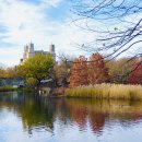 센트럴파크 11 이미지