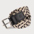 페르시안 캣 이미지