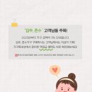 다스리가구