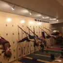 테라피 요가B 이미지