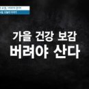 건강보감 이미지