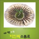 다샘 이미지