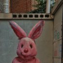 수원-0926 이미지