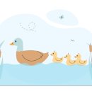 덕스 이미지