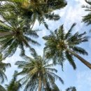 고운한의원 이미지