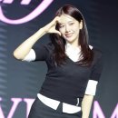 해피댕댕 이미지