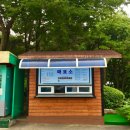 사계절썰매장/야외풀장 네이버블로그
