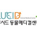 24시루시드동물메디컬센터 이미지