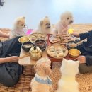 옹기종기 이미지