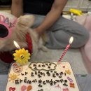 밤시(BAMSI) 이미지