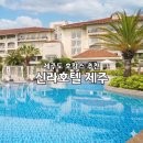 [인기숙소] 더끌림 온수수영장 | 제주 신라호텔 제주도 호캉스 추천 중문 숙소 수영장
