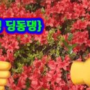 딩동댕발전소 이미지