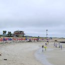 게스트 하우스 소나무 이미지