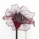 바느질정원 이미지