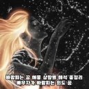 신기몽