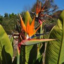 사우스코스트 이미지