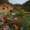 보화다원 이미지