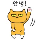 고양이묭실 이미지