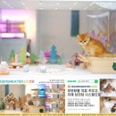 NY시스템 이미지