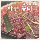 하누맘 | [운서역술집] 하누 뭉티기