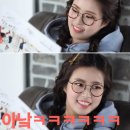 소나무안경 이미지