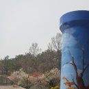 한올채 이미지