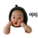 타이에스 이미지