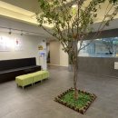 맘스포레 산후조리원 이미지