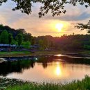 서서울호수공원 Daum카페