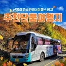 (주)신동아전세관광