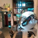 수겔러리카페펜션 이미지