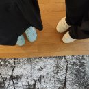 인생을 담아내는 시 창작 | 이훤 사진전 &lt;공중뿌리&gt; 및 이슬아 팝업스토어 후기 - 품 안에 사랑이 가득하였다