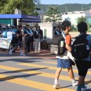 야성초등학교 앞 이미지