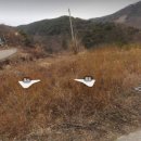 용전리 티스토리