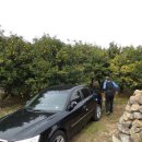 병삼농장 이미지