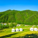 태백운수 이미지