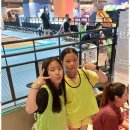 멘토 태권도 교육관 이미지